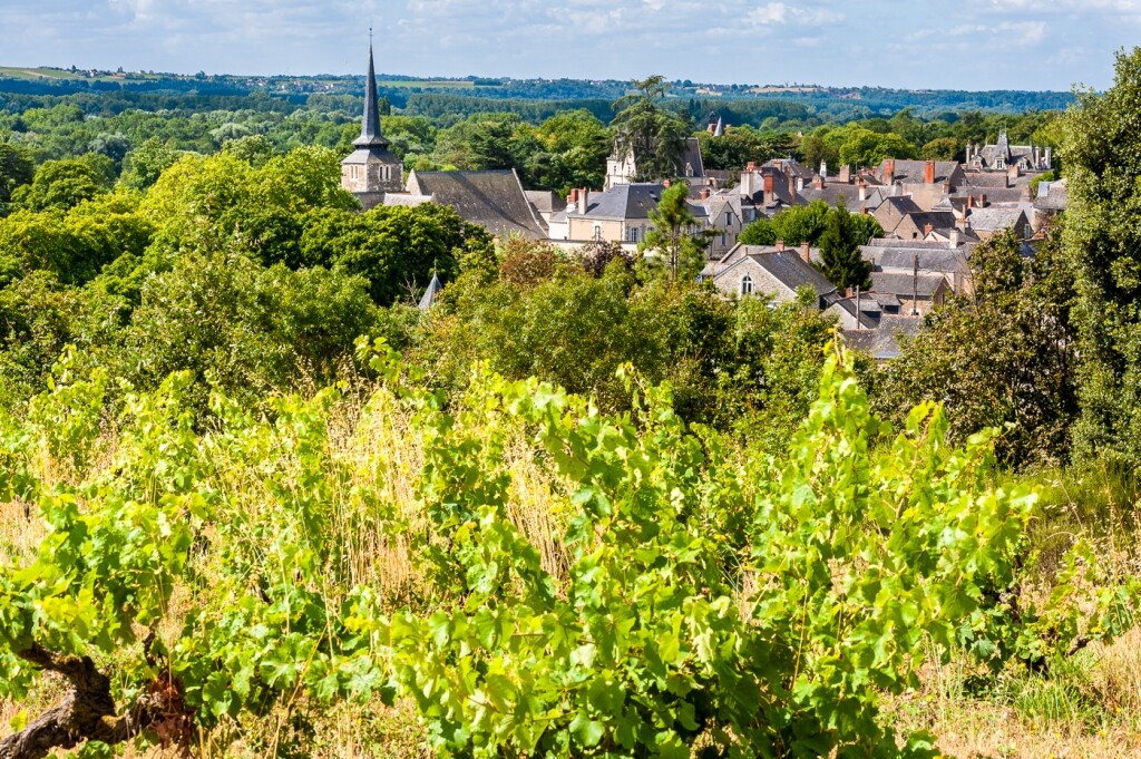 © 2021 Sebastien Gaudard