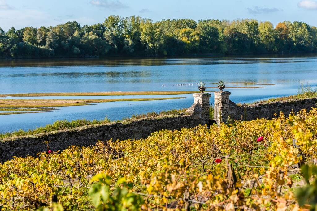 © 2021 Sebastien Gaudard